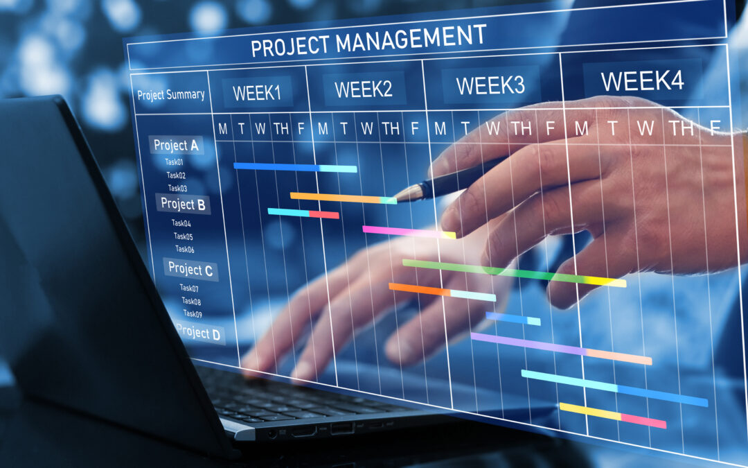 Establishing a Project Management Office (PMO) for Operational Excellence